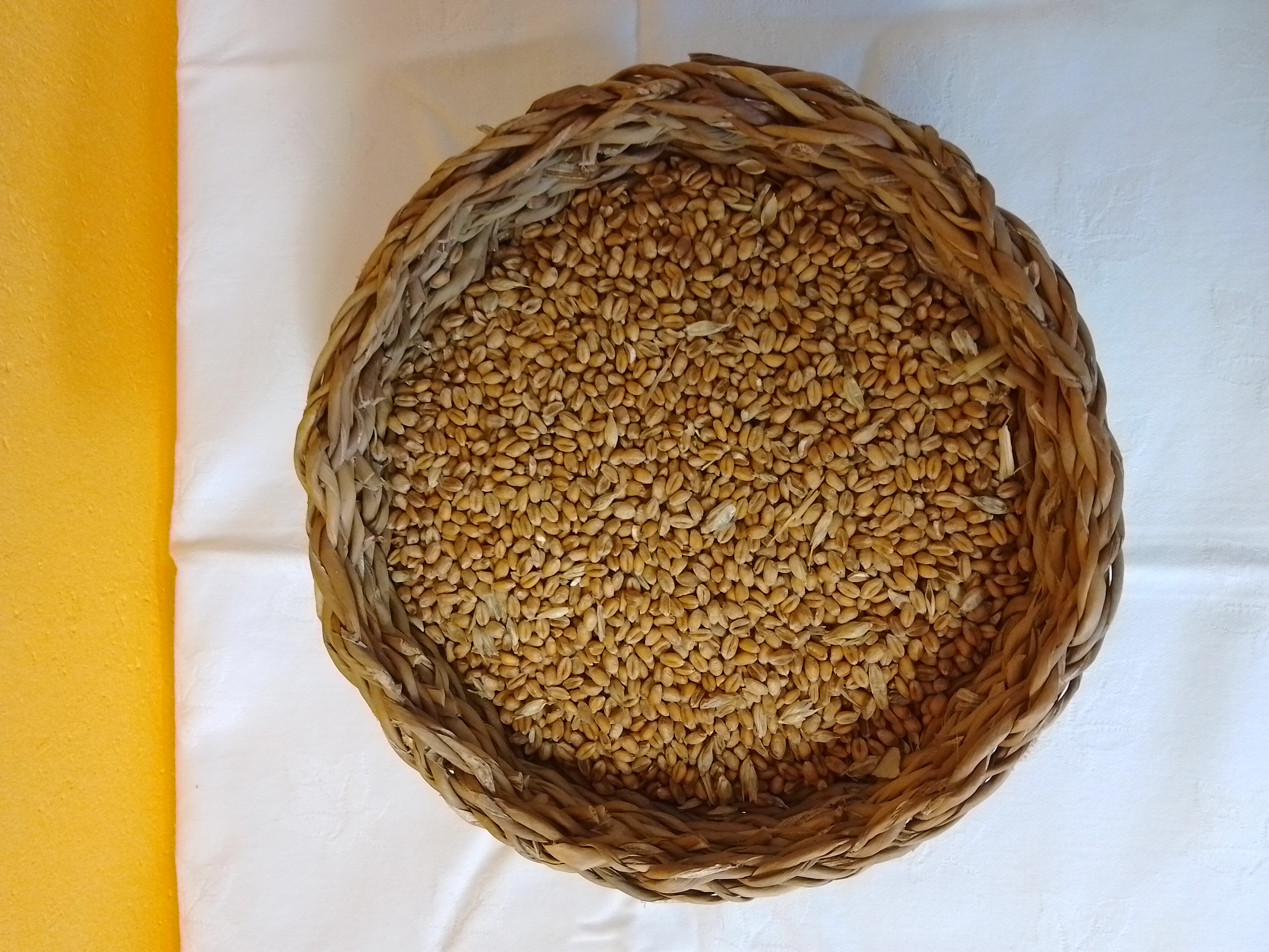 PŠENICE 25KG
