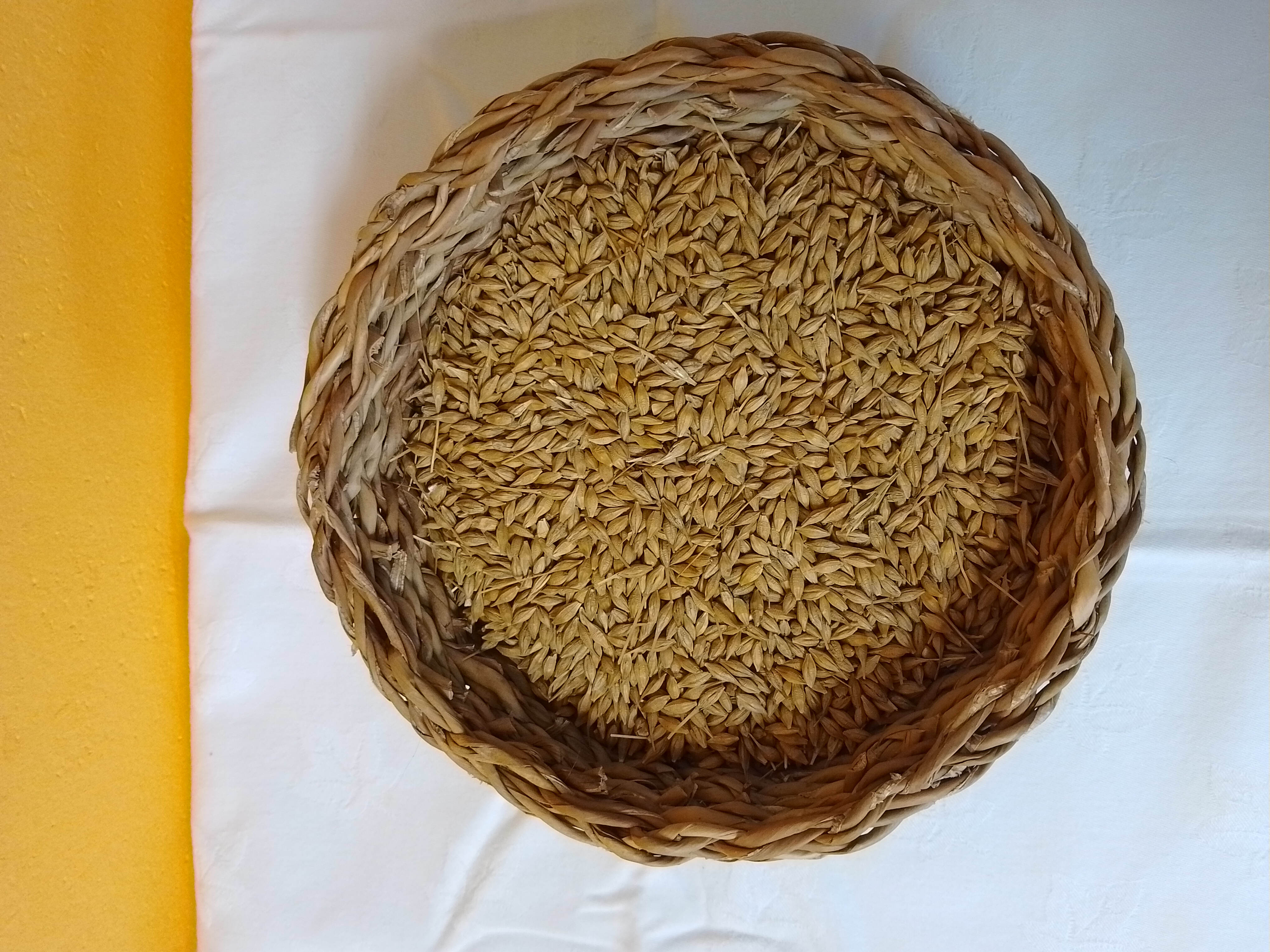 JEČMEN 25KG