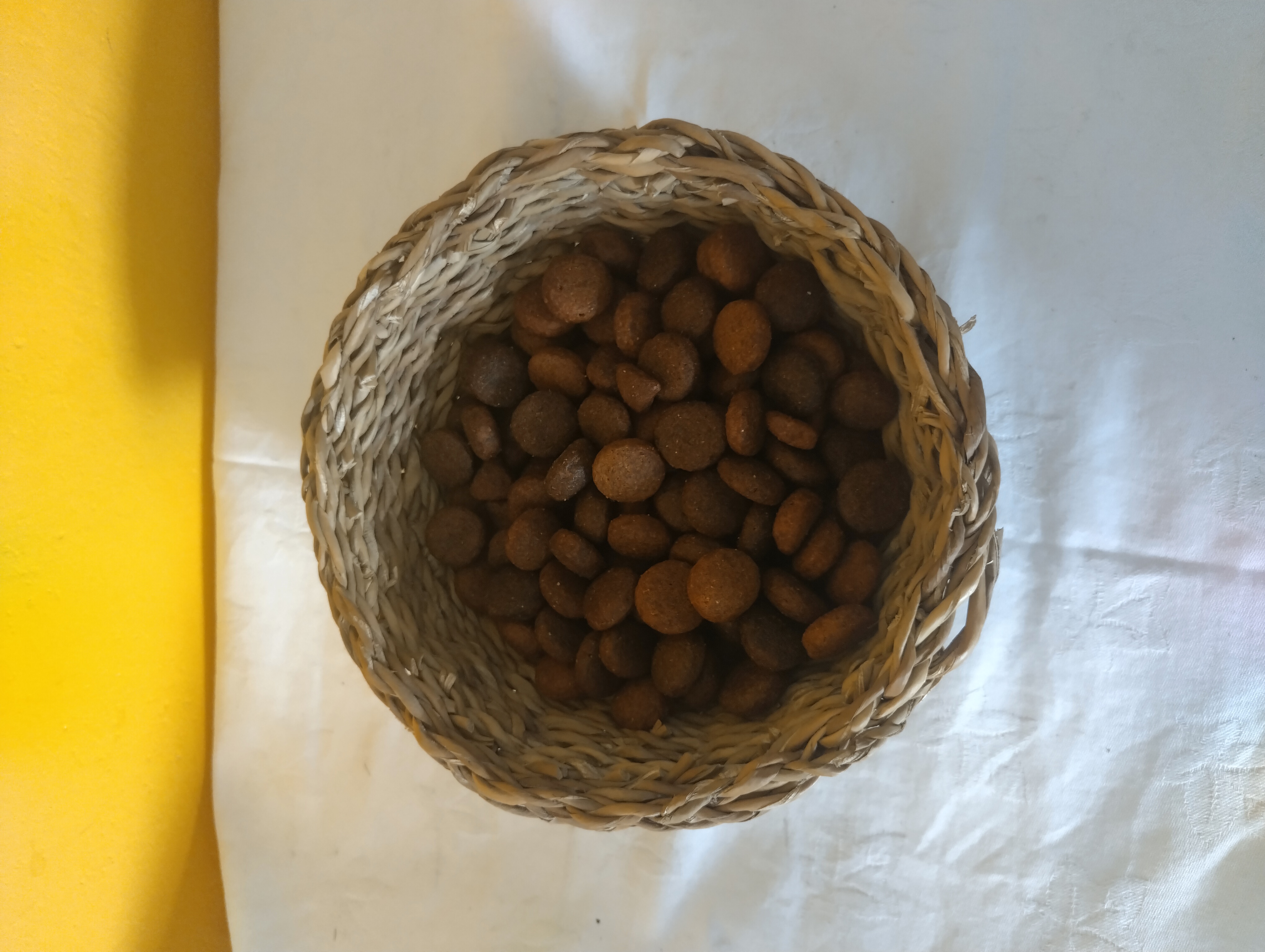 CD ADULT MAXI 15KG