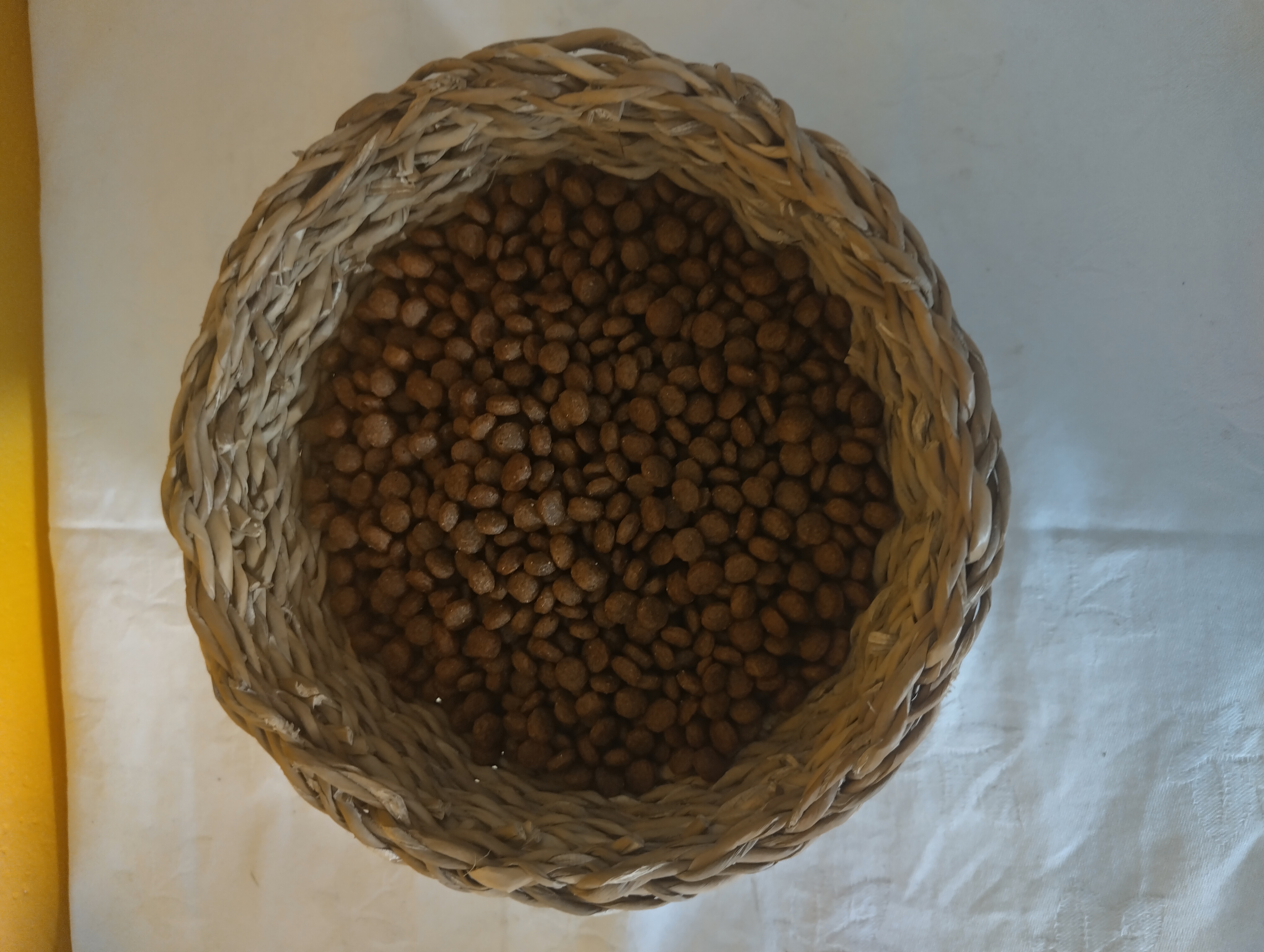 CD ADULT MINI 15KG