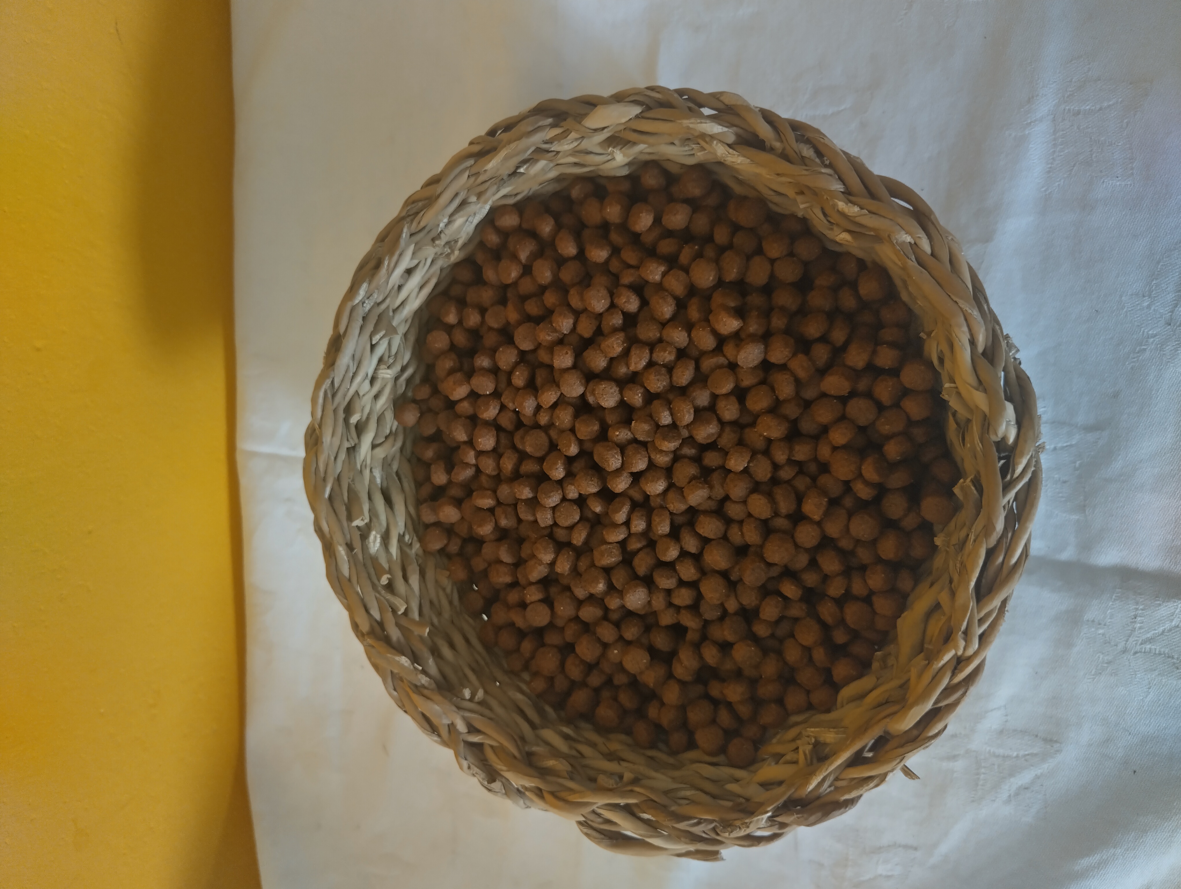 CD PUPPY MINI 15KG
