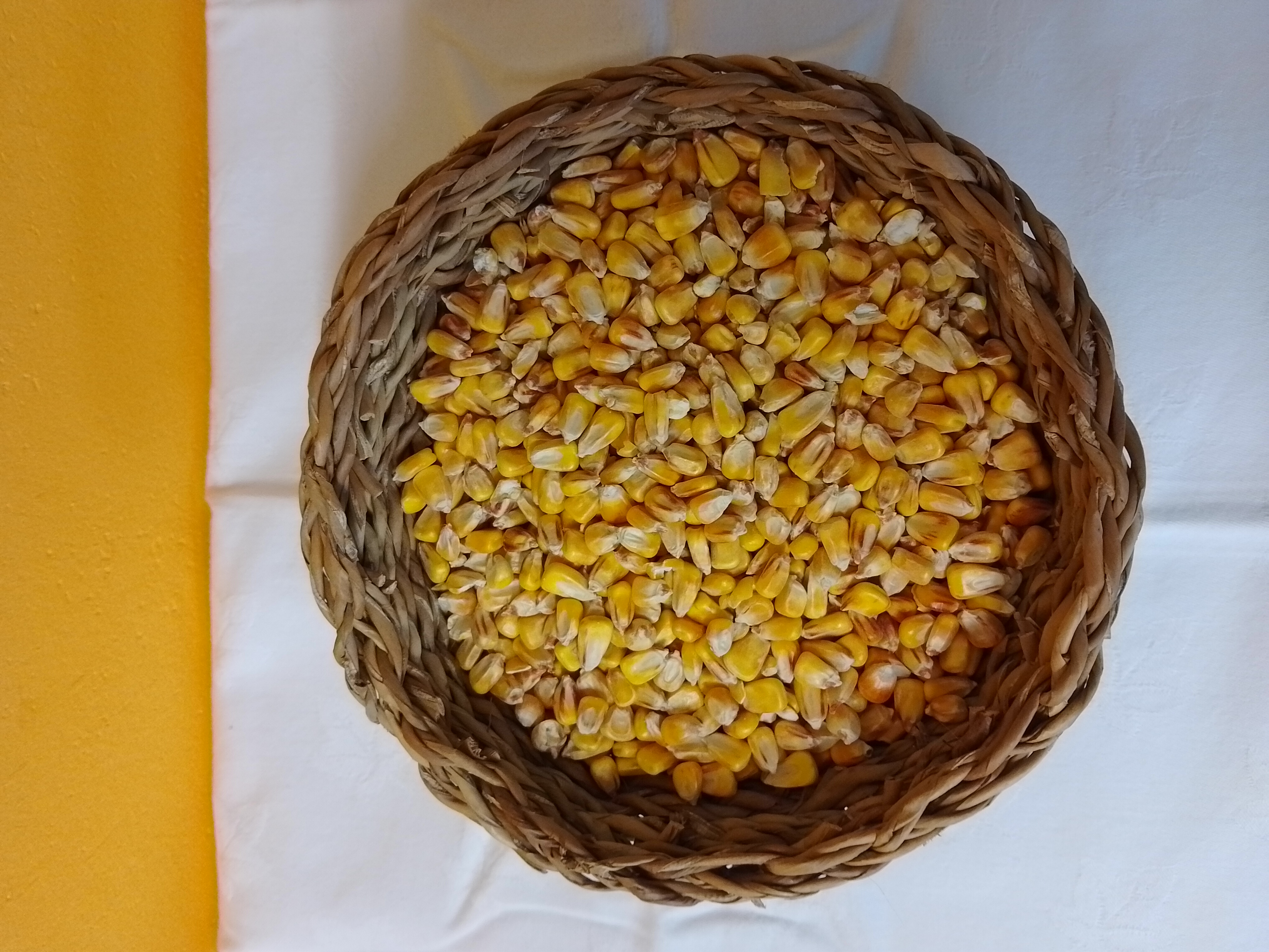 KUKUŘICE 25KG