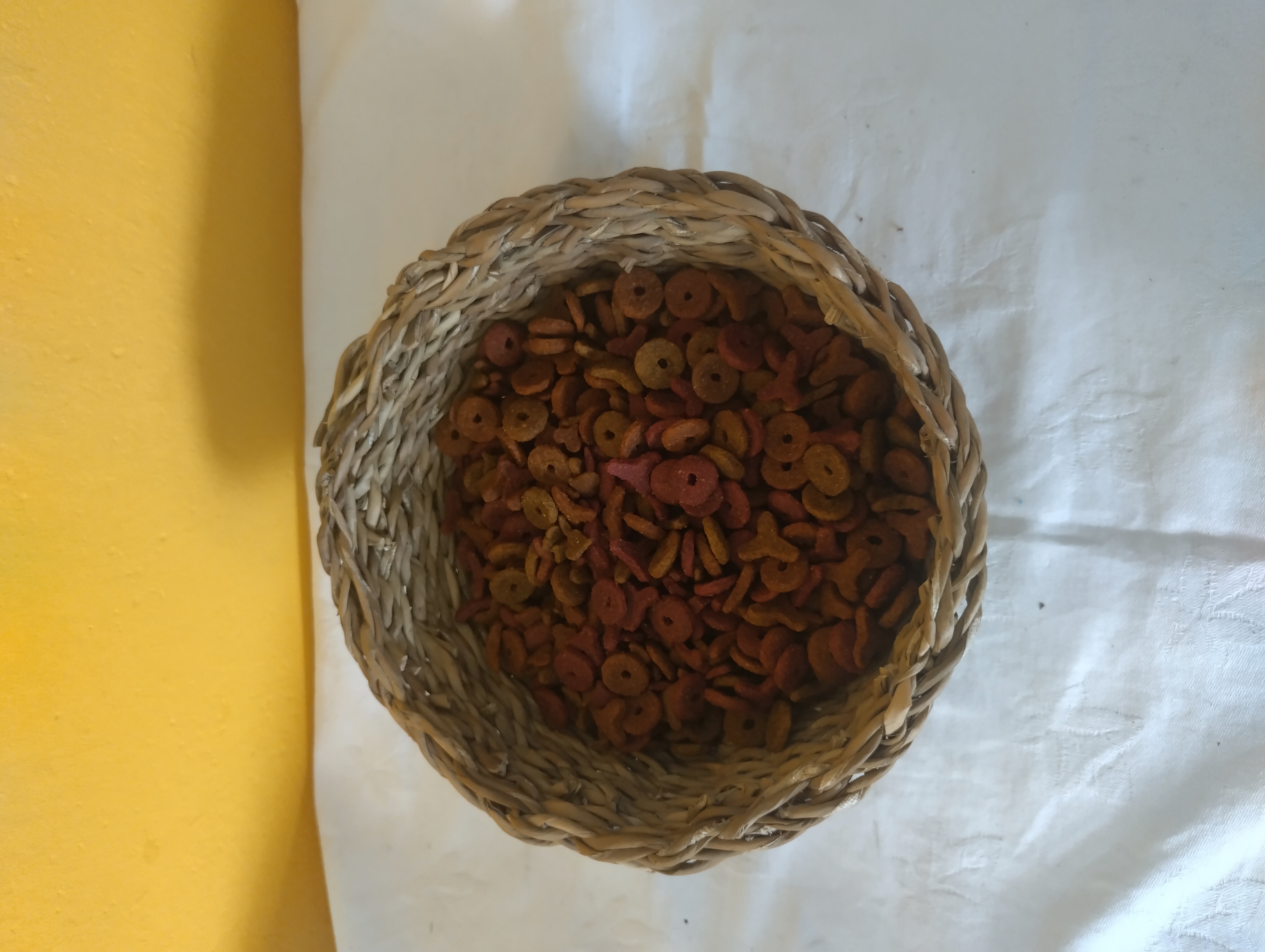 EXCLUSIV CAT CHEESE 10KG