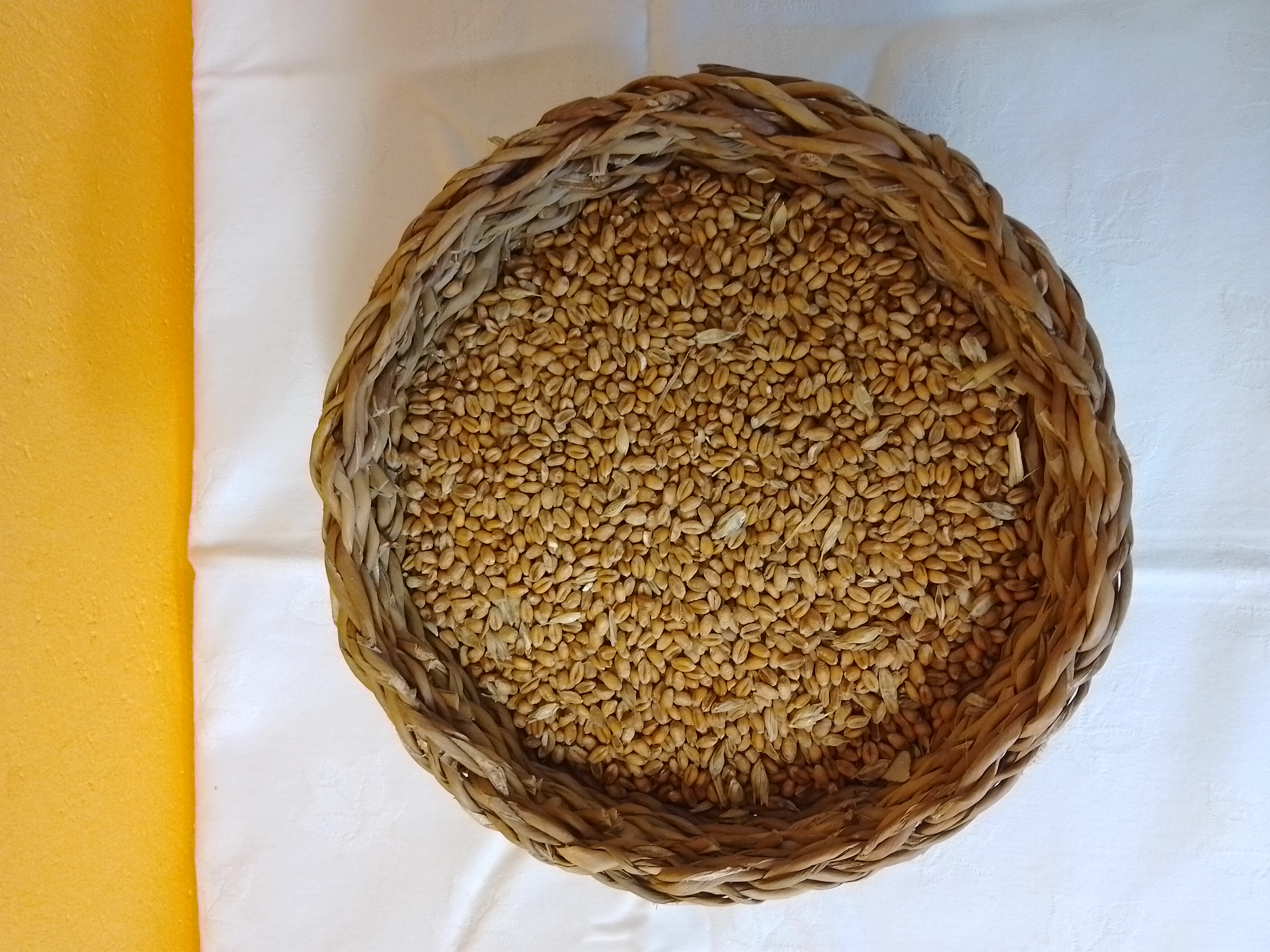 PŠENICE 5KG