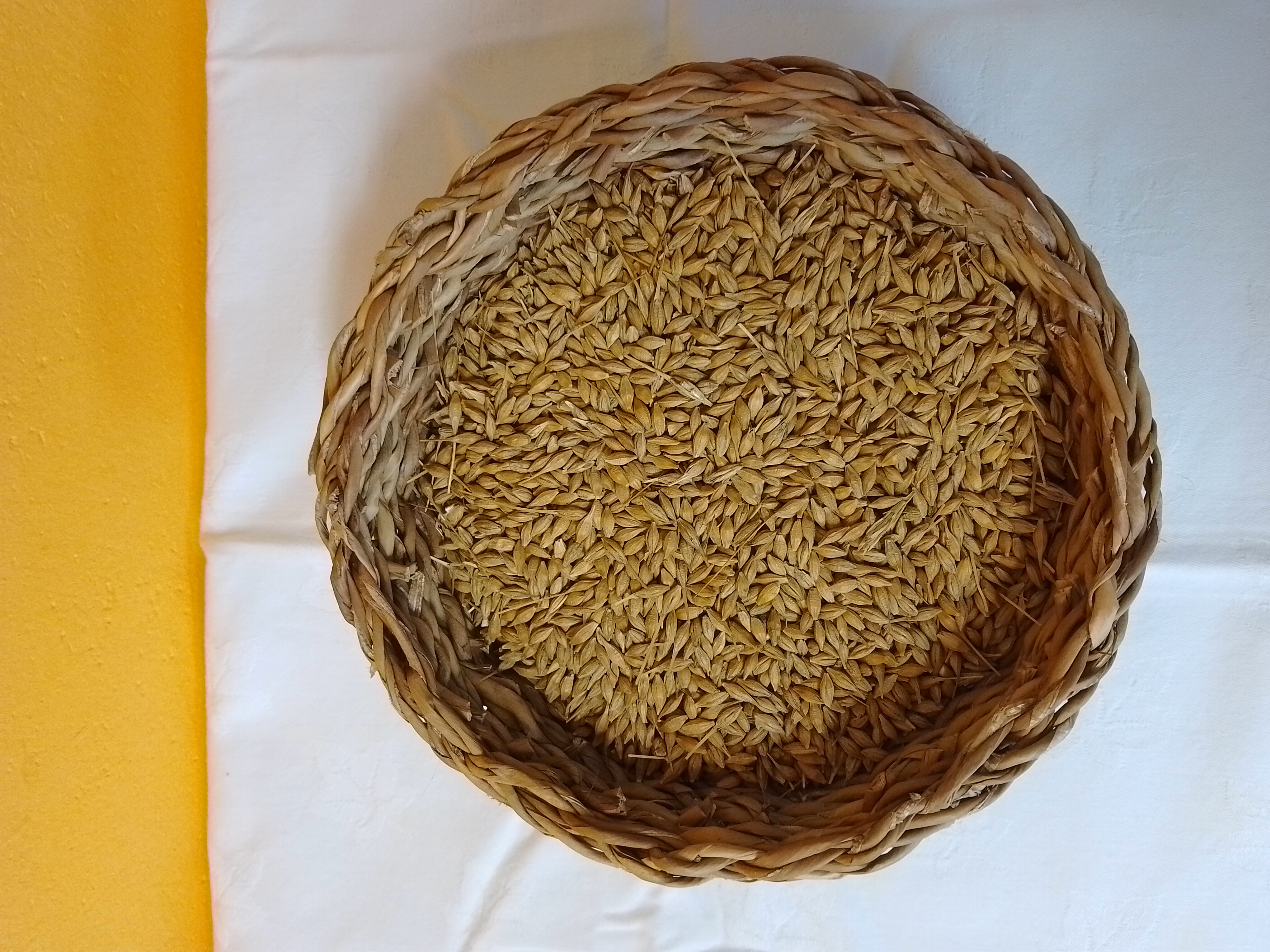 JEČMEN 5KG