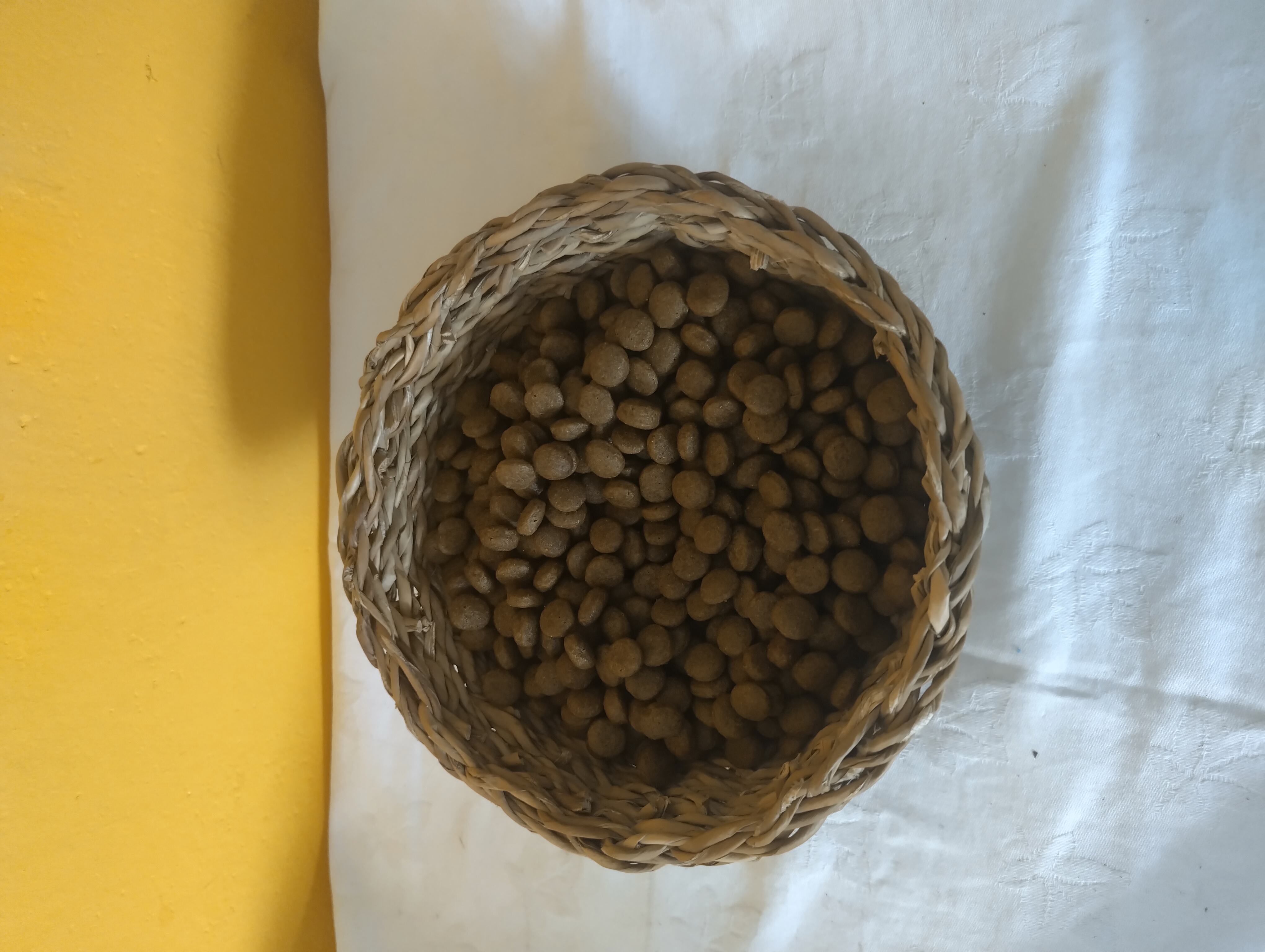 CD  JEHNĚČÍ MALÝ PES 3KG