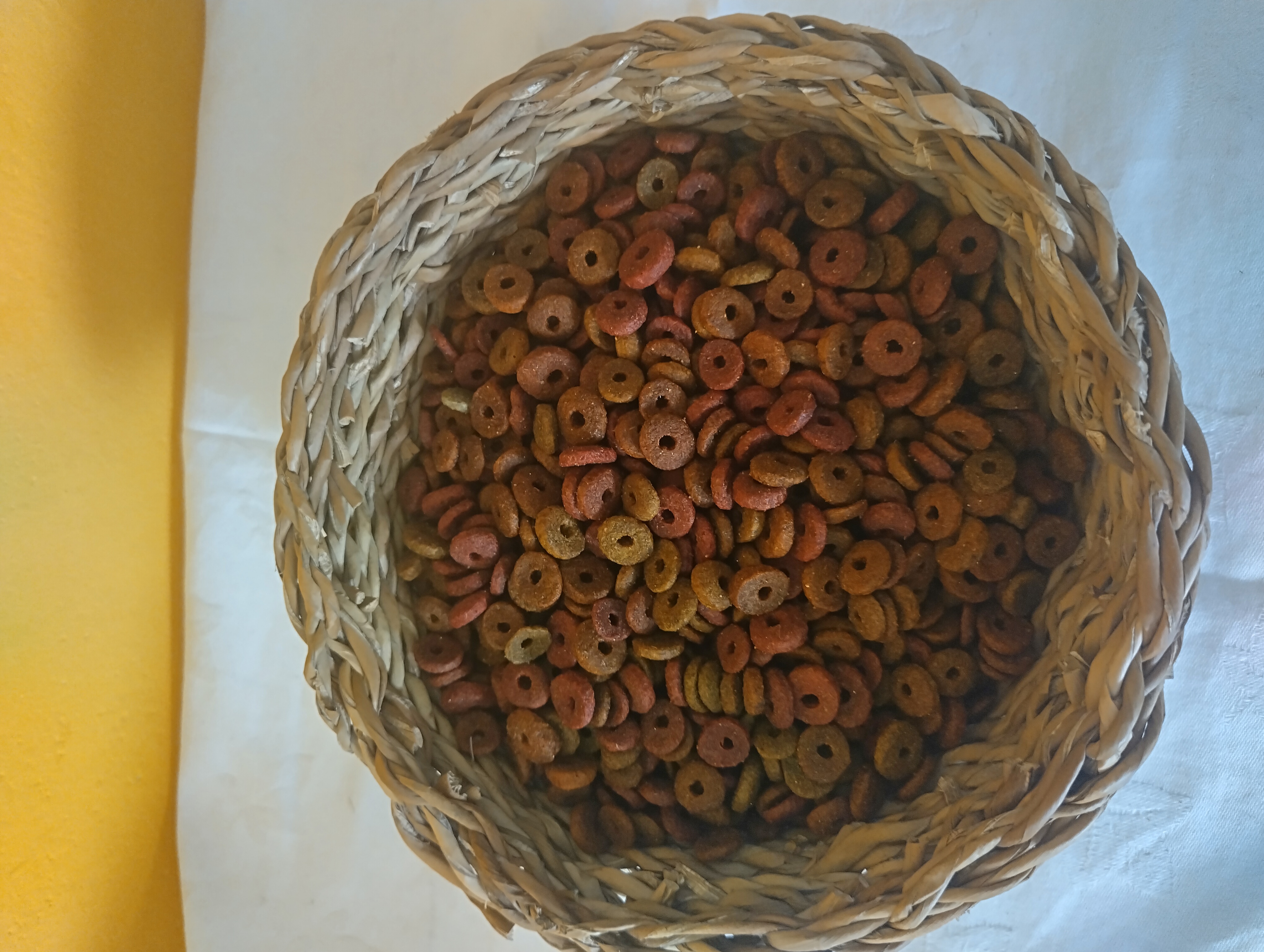 EXCLUSIV CAT CHICKEN 1KG