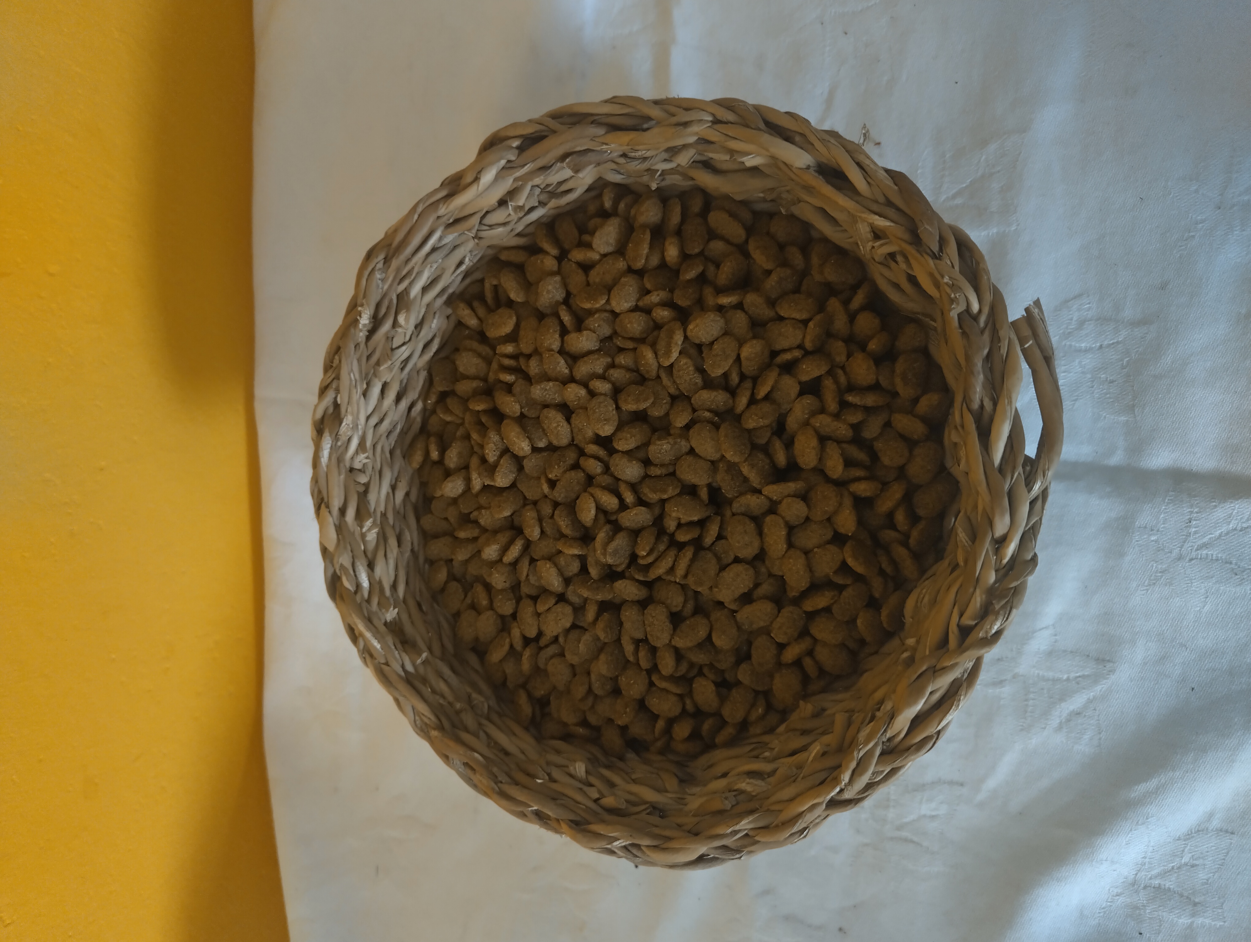 KASTROVANÉ KOČKY 1KG