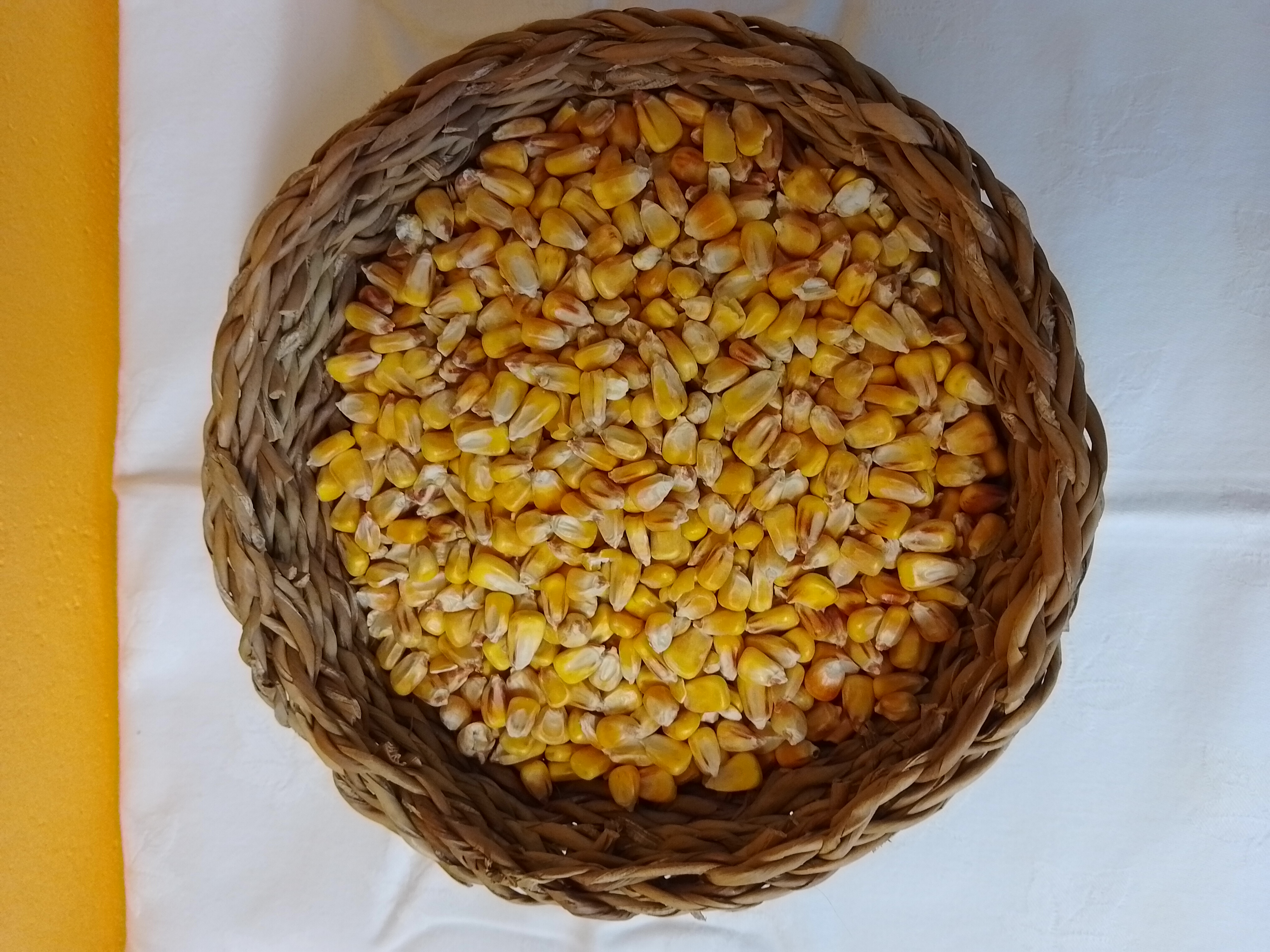 KUKUŘICE 5KG
