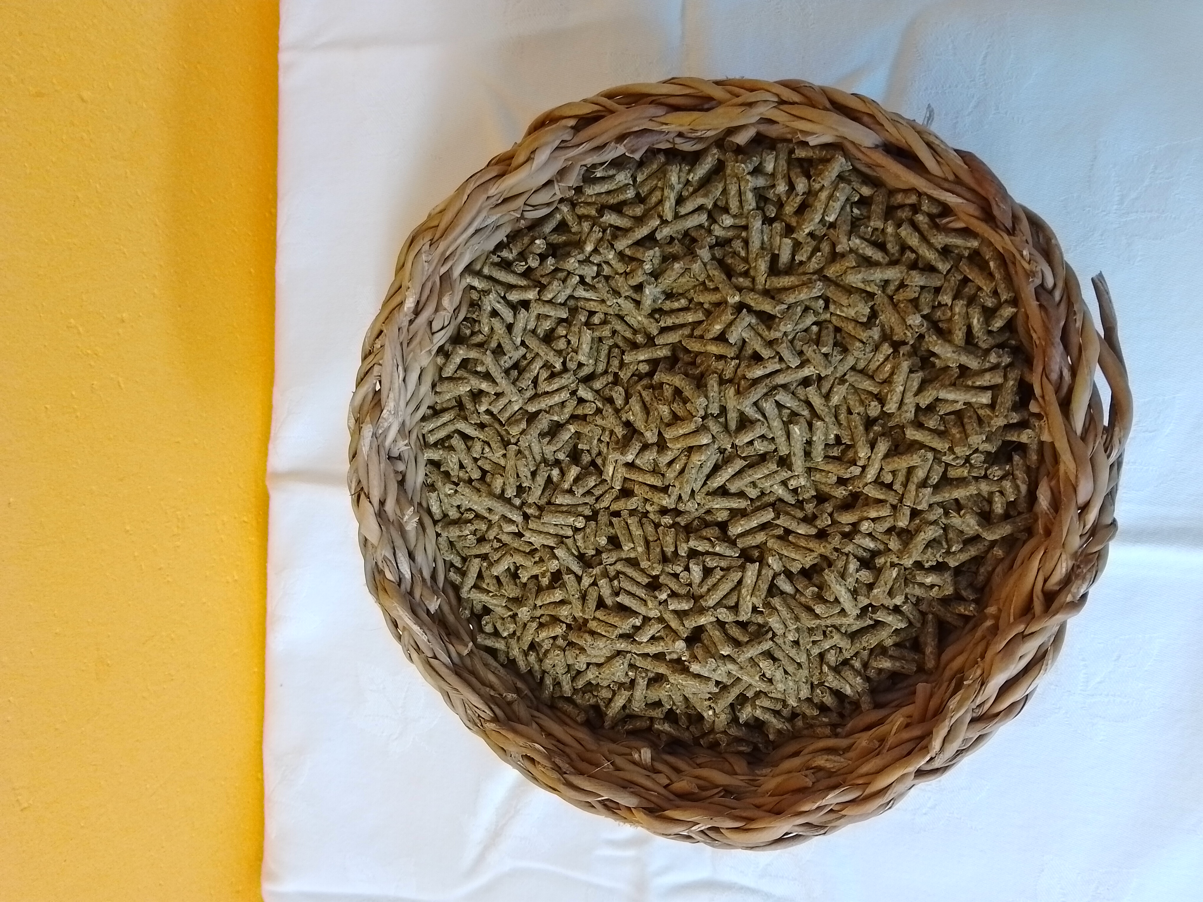 KRÁLÍK BEZ AKC 5KG