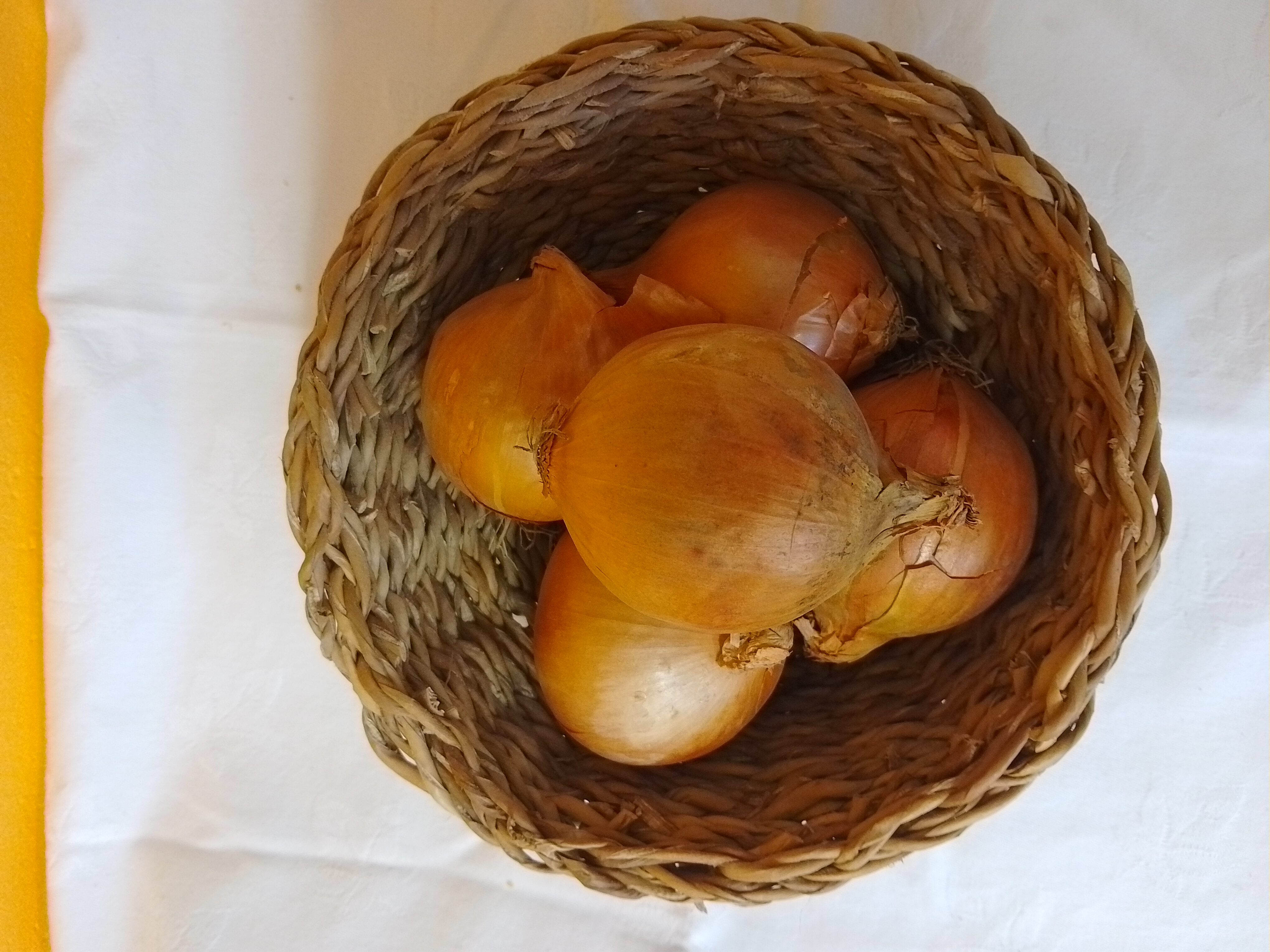 CIBULE 5KG
